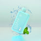 Elfbar BC10000 10000 puffs disposable vape with Miami Mint flavor.
