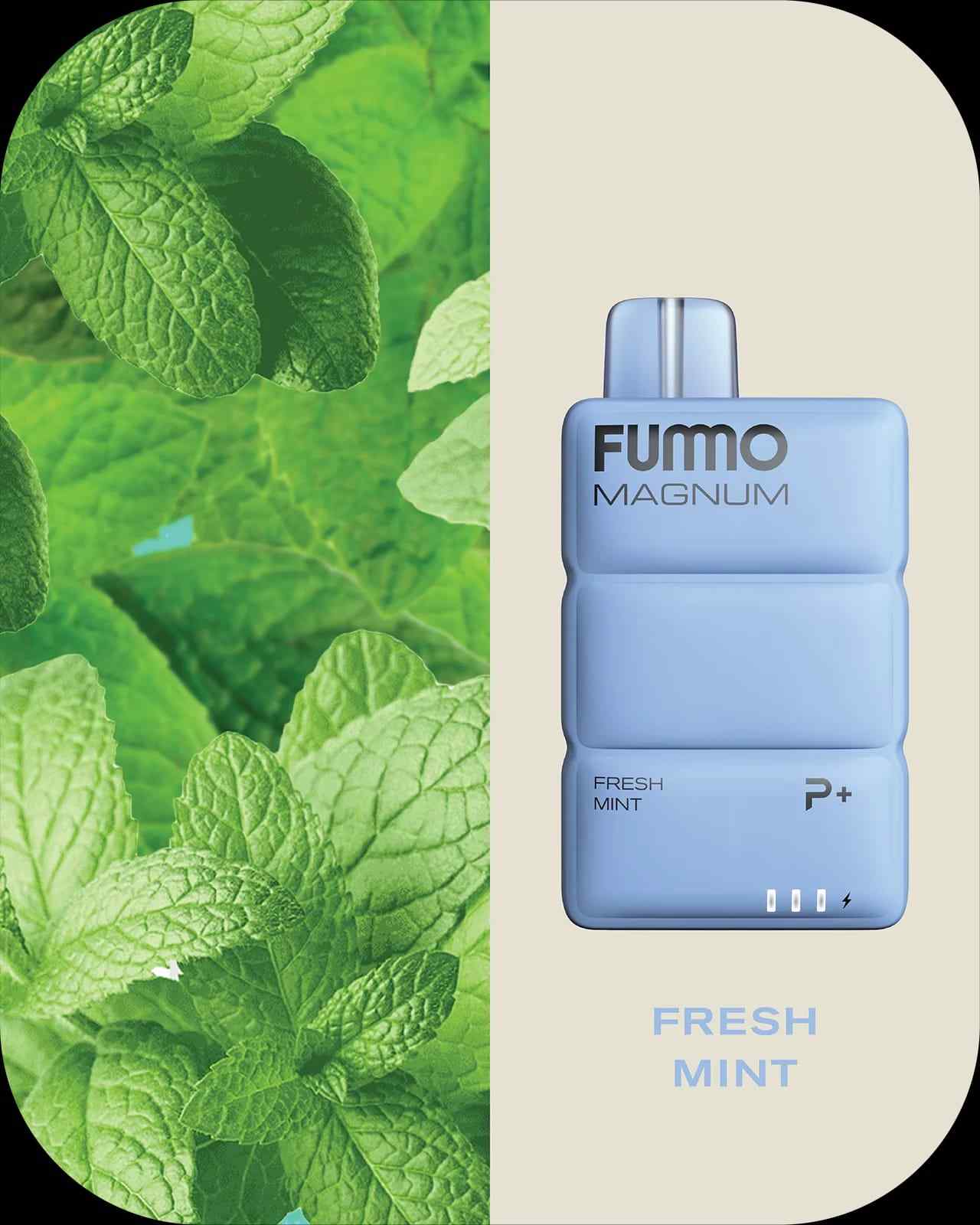 Fummo Magnum Fresh Mint disposable vape with cool mint flavor
