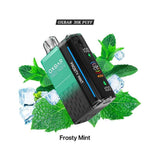 OXBAR Magic Maze 30K puffs disposable vape with Frosty Mint flavor.
