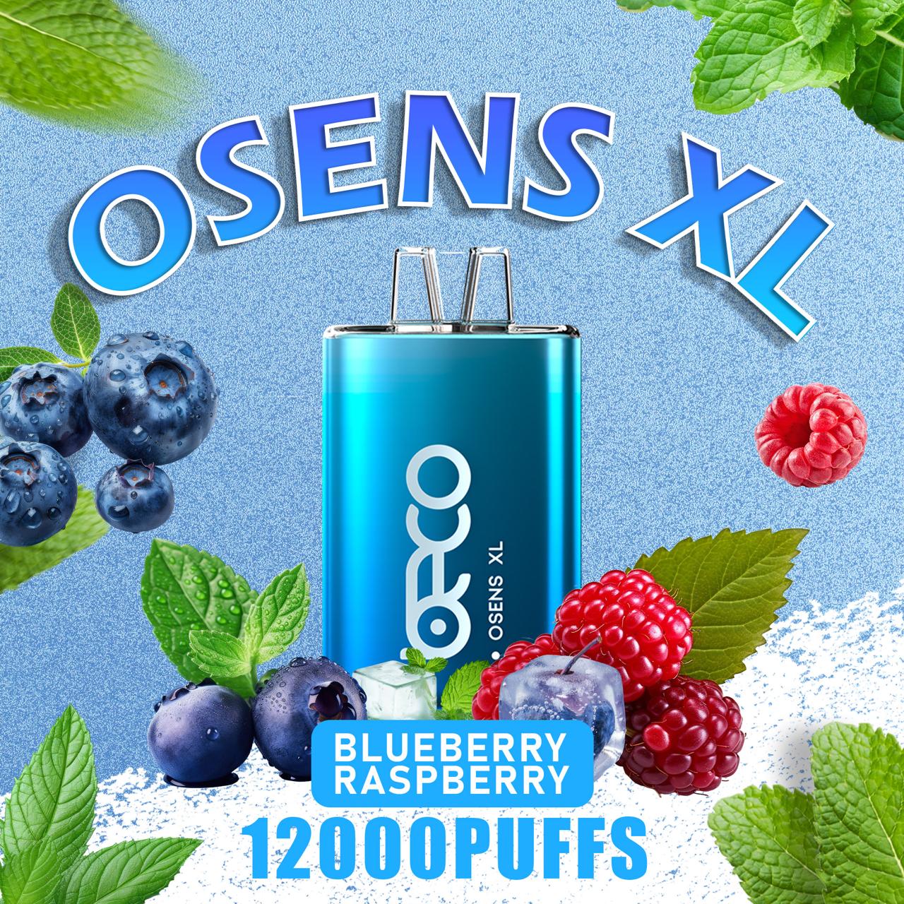 Osens XL Blueberry Raspberry disposable vape 12000 puffs with berry flavor