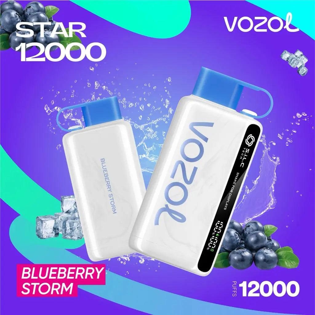 Vozol Star 12000 Blueberry Storm disposable vape with 12000 puffs