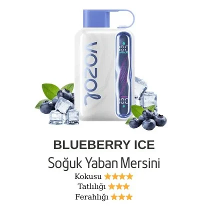Vozol Star 40000 Blueberry Ice
