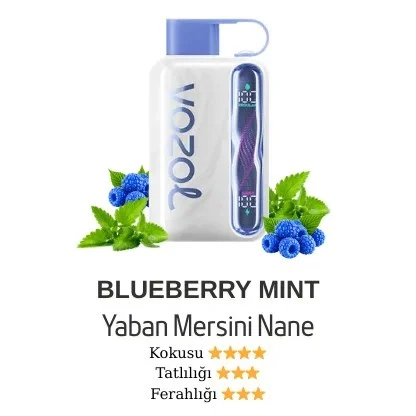 Vozol Star 40000 Blueberry Mint