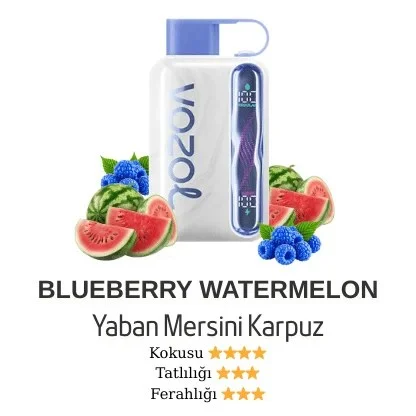 Vozol Star 40000 Blueberry Watermelon