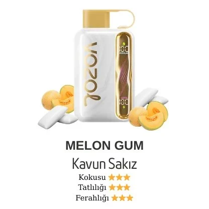 Vozol Star 40000 Melon Gum